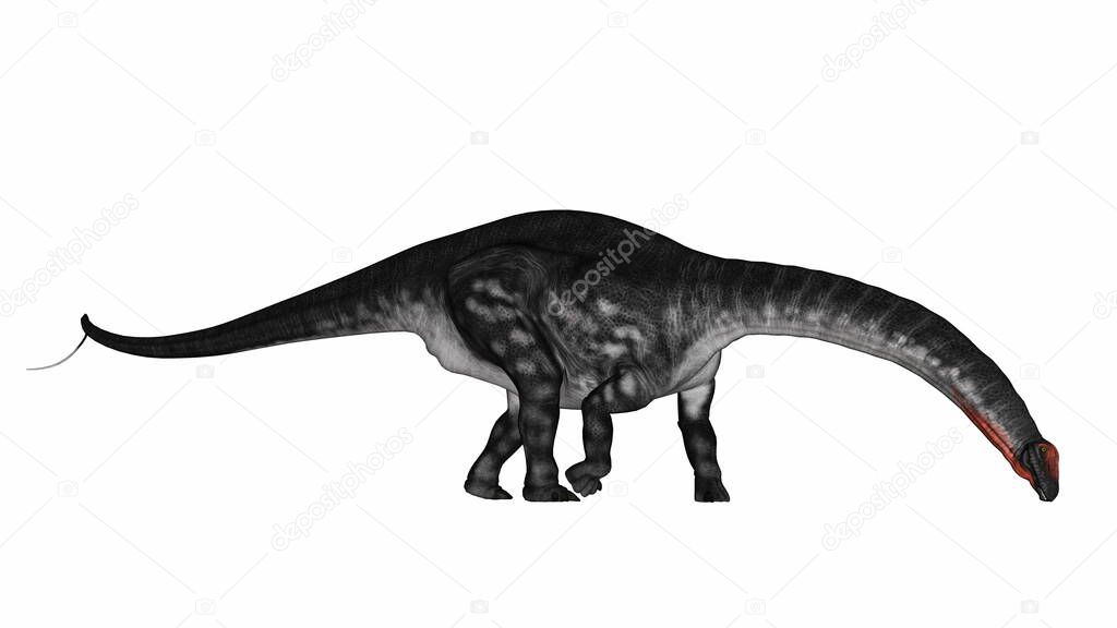 Apatosaurus dinosaur drinking or eating - 3D render