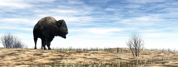 Bisonte de pie en el desierto - 3D render — Foto de Stock