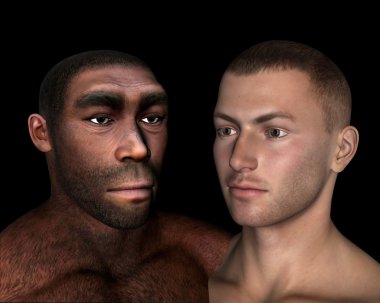 Homo erectus and sapiens comparison - 3D render clipart