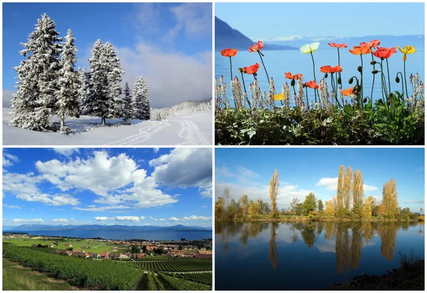 Set of four seasons landscapes — Stock Photo, Image