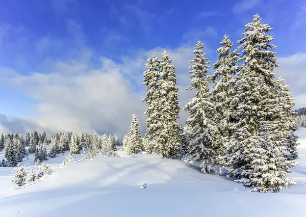 Jura Dağı kış, İsviçre — Stok fotoğraf