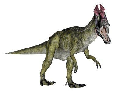 Cryolophosaurus dinozor - 3d render yürümek