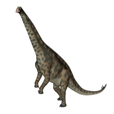 Spinophorosaurus dinozor ayakta - 3d render