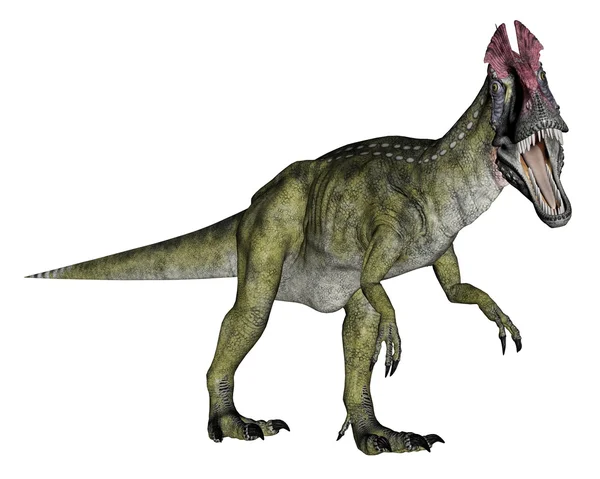 Cryolophosaurus dinosaure marche - rendu 3D — Photo