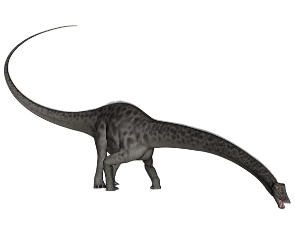 Diplodocus cabeza de dinosaurio hacia abajo - 3D render — Foto de Stock
