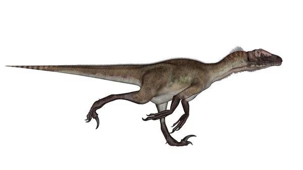 Dinossauro Utahraptor em execução - renderização 3D — Fotografia de Stock