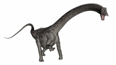 Diplodocus dinozor kafası - 3d render kadar