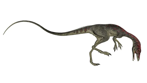 Caminata de dinosaurios Compsognathus - 3D render — Foto de Stock