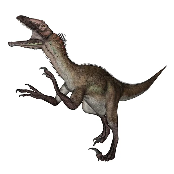 Utahraptor dinossauro rugindo - renderização 3D — Fotografia de Stock