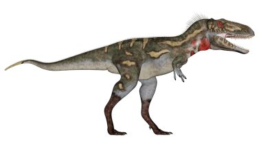 Nanotyrannus dinozor - 3d render yürümek