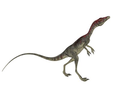 Compsognathus dinozor - 3d render yürümek