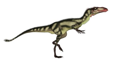Dilong dinozor - 3d render yürümek