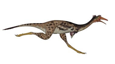 Mononykus dinozor - 3d render çalıştıran