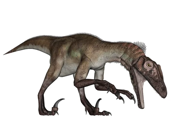 Dinosaure de l'Utahraptor rugissant vers le bas - rendu 3D — Photo