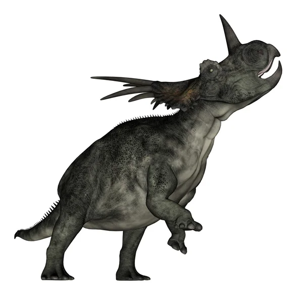 Styracosaurus dinosaur рев - 3D рендеринг — стокове фото