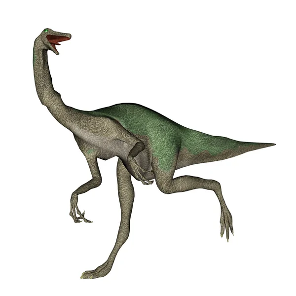 Gallimimus dinosaurier walking - 3D render — Stockfoto