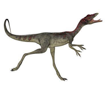 -3d render çalıştıran Compsognathus dinozor