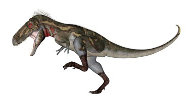 Nanotyrannus dinozor kükremesi - 3 boyutlu görüntüleme