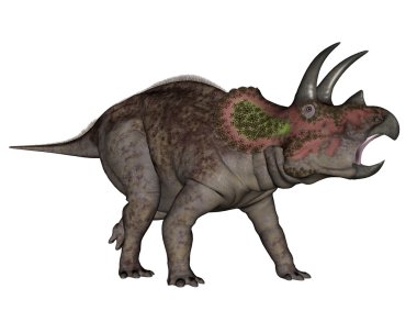 Triceratops dinozor - 3d render yürümek