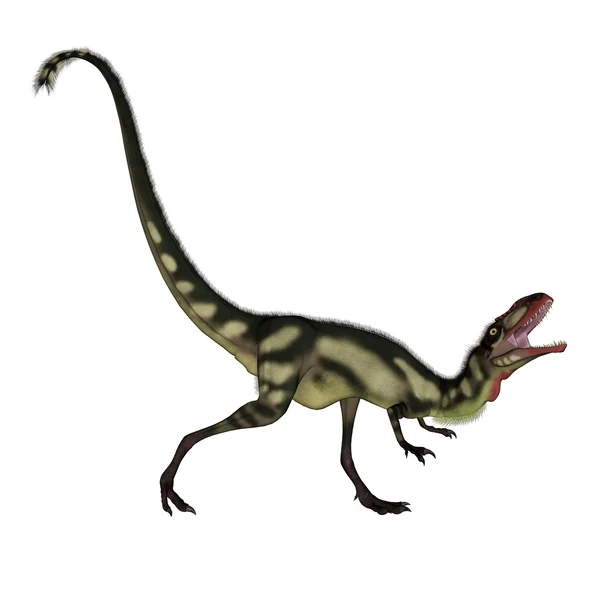 Rugido de dinosaurios Dilong - 3D render — Foto de Stock