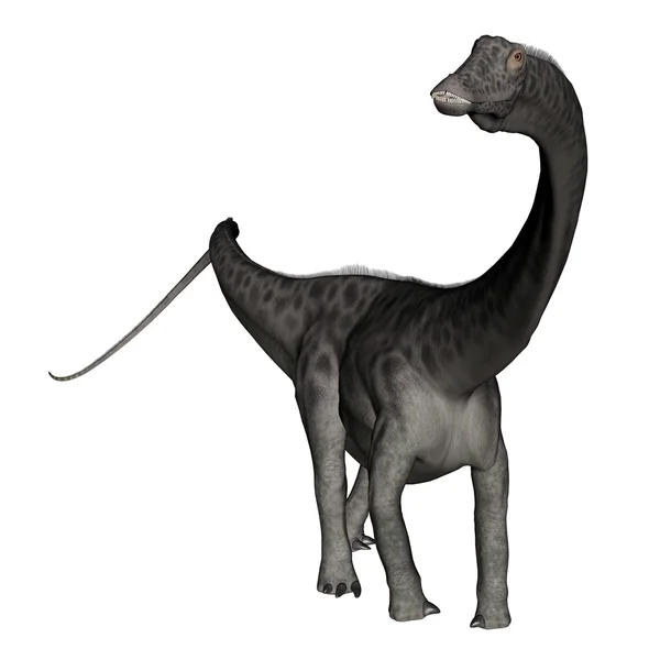Dinosauro Diplodocus in piedi - rendering 3D — Foto Stock