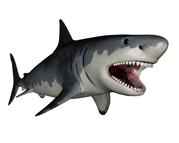 Megalodon dinozor - 3d render