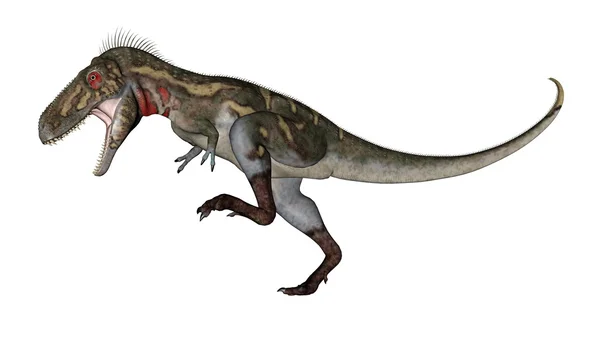 Nanotyrannus dinosaurus řvaní - 3D vykreslení — Stock fotografie
