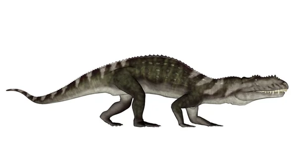 Prestosuchus dinosaurio caminando - 3D render —  Fotos de Stock