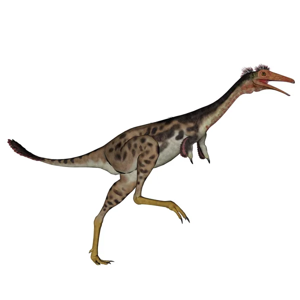 Mononykus dinosaurio caminando - 3D render — Foto de Stock