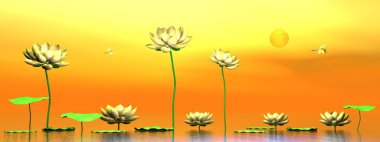 -3d render Zen lily çiçekler