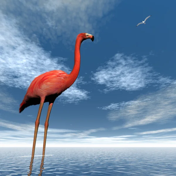 粉红色的火烈鸟-3d 渲染 — 图库照片