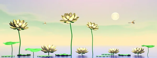 Zen lily blommor - 3d render — Stockfoto