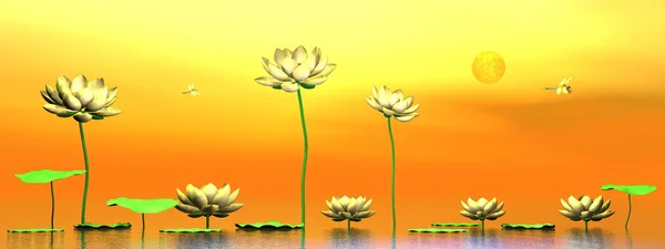 Zen lily flowers - 3D render — Stock Photo, Image
