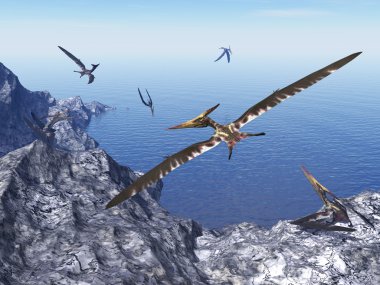 Pteranodon birds - 3D render clipart