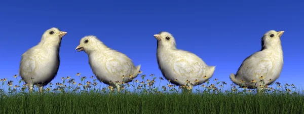 Chicks - 3d render — Stockfoto