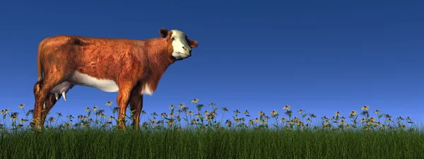 Hereford vaca renderização 3D — Fotografia de Stock