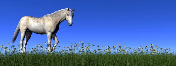 白い馬の 3 d レンダリング — ストック写真