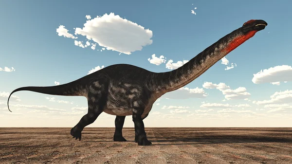 アパトサウルス恐竜- 3Dレンダリング — ストック写真