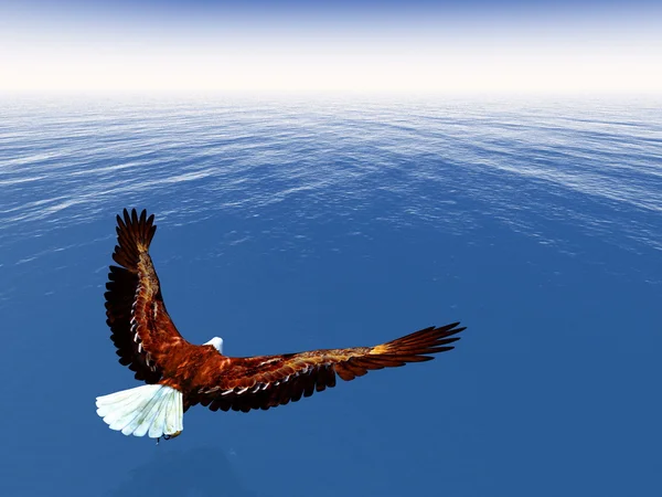 Eagle freedom - 3D render — Stock Photo, Image