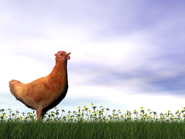 Gallina roja - 3D render —  Fotos de Stock