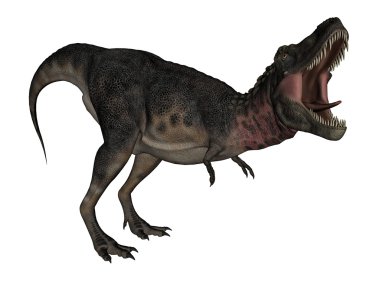 Tarbosaurus dinosaur - 3D render clipart