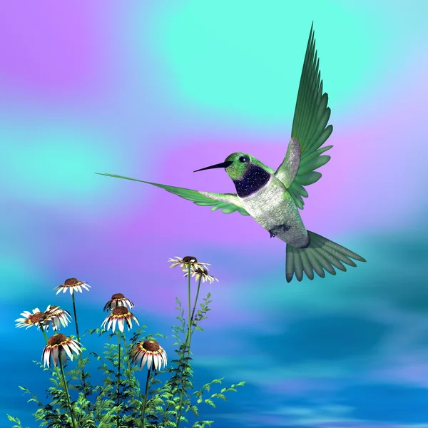 Colibrì nero-chinned - rendering 3D — Foto Stock