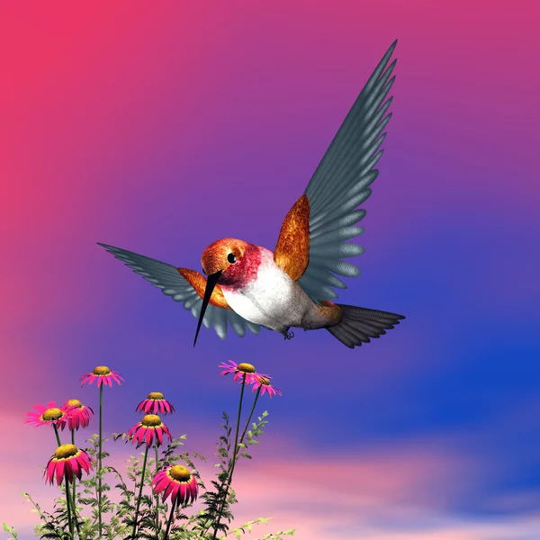 Pěvec hummingbird - 3d vykreslení — Stock fotografie