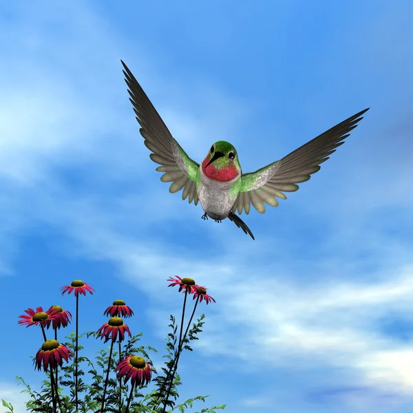 Colibrì dalla gola rubino - rendering 3D — Foto Stock