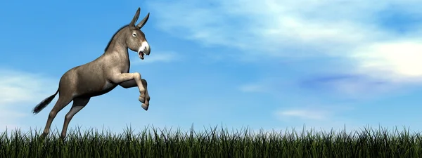 Donkey jumping - 3D render — Stock Photo, Image