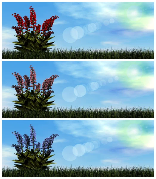 Conjunto de flores de colores - 3D render —  Fotos de Stock
