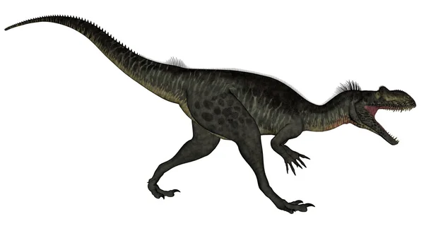 Dinosaurio megalosaurio - 3D render —  Fotos de Stock