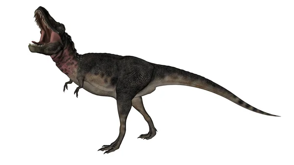 Tarbosaurus dinazoru - 3D görüntüleme — Stok fotoğraf