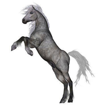 -3d render yetiştirme White horse