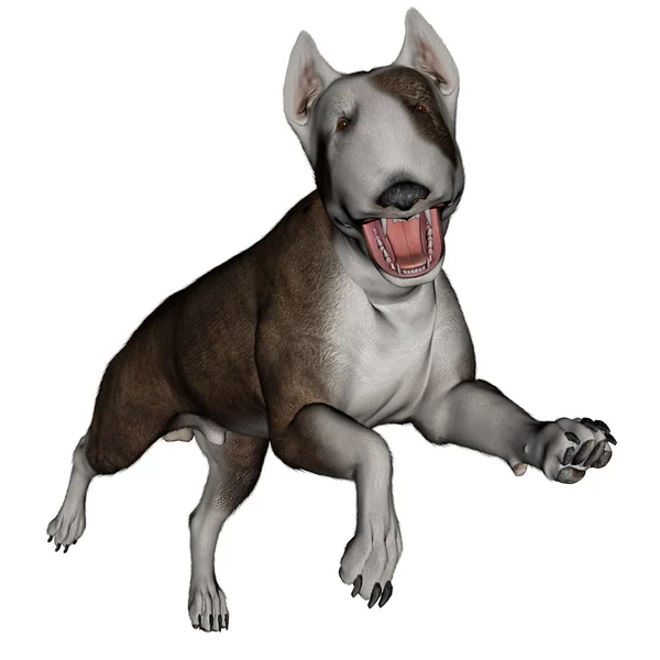 Bull terrier dog runnning - 3D render — Stock Photo, Image